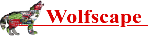 Wolfscape Logo Color